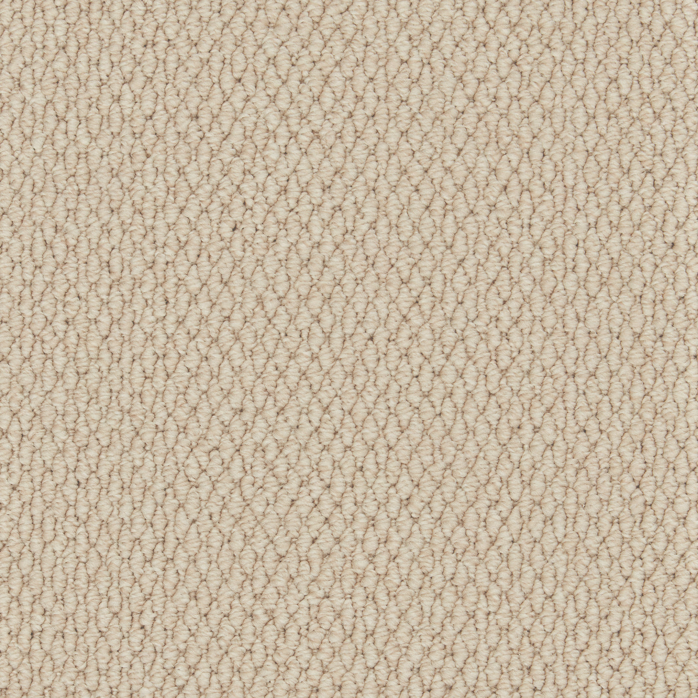 Primo Textures — Canvas
