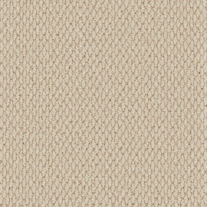 Primo Textures