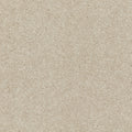 Aniseed