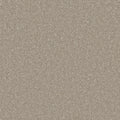 Arctic Grey