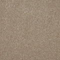 Cambrian Stone