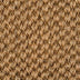 Sisal Bengal — Singh