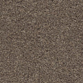 Blonde Oak