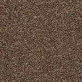 Nutmeg