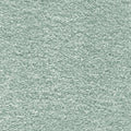Eucalyptus Leaf