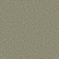 Tuscan Olive